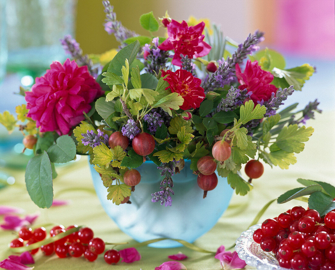 Ribes (gooseberry and currant)