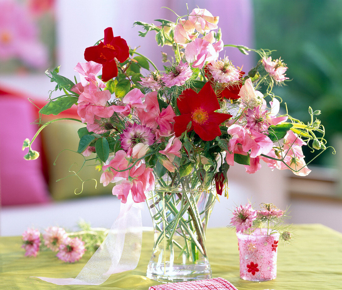 Lathyrus odoratus (sweetpea)