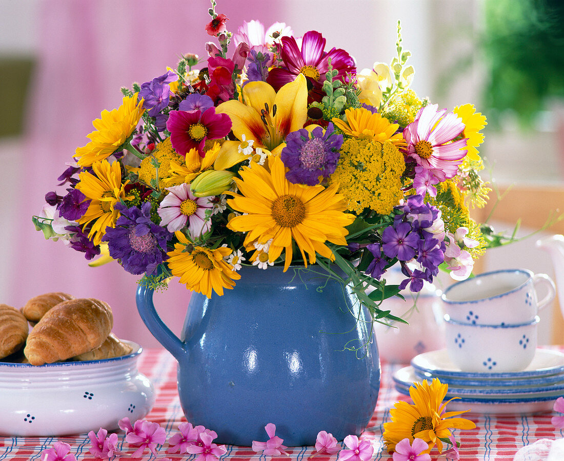 Heliopsis (daisy), Cosmos (common cosmos)