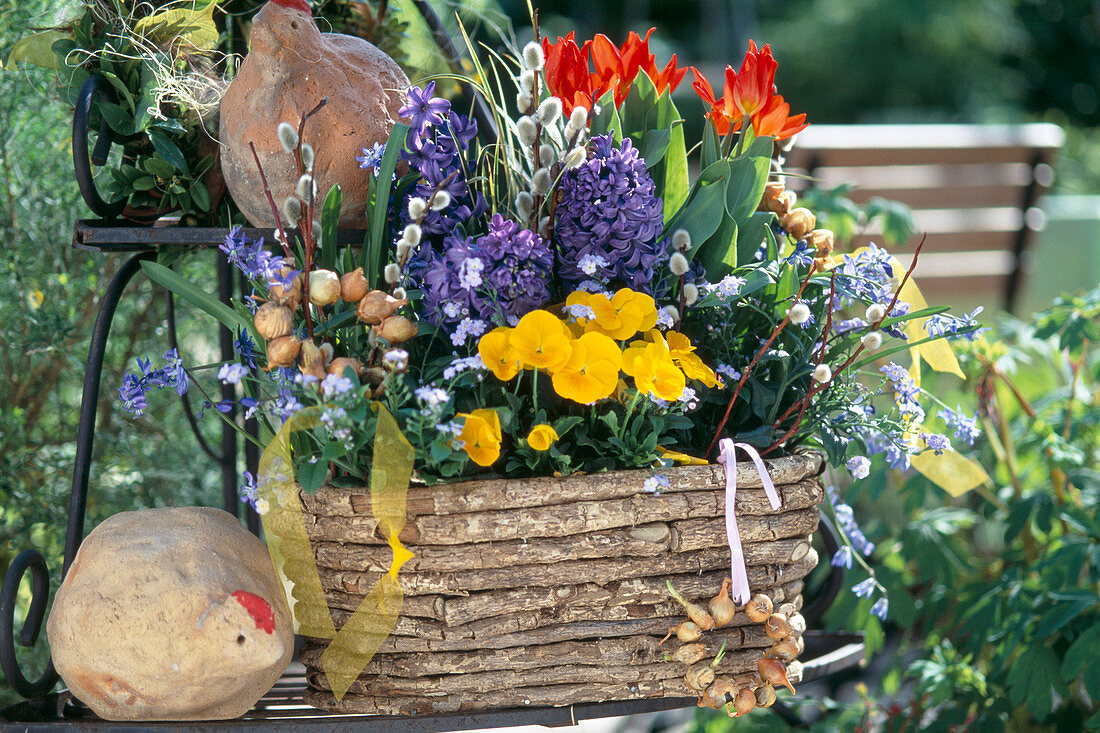 Basket with Myosotis sylvatica, Tulipa praestans 'Fusilier', Hyacinthus