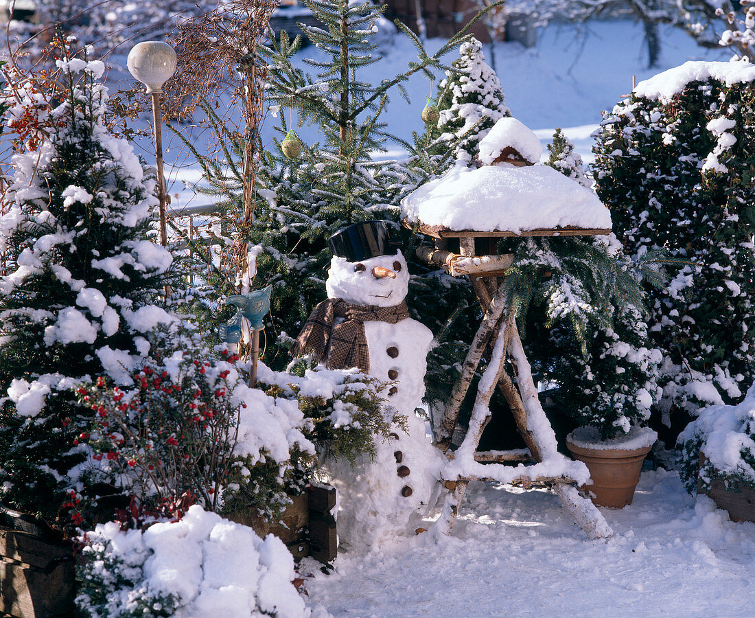 Balkon im Winter mit Ilex Aquifolium, Taxus Baccata (Taxus), Picea Excelsa