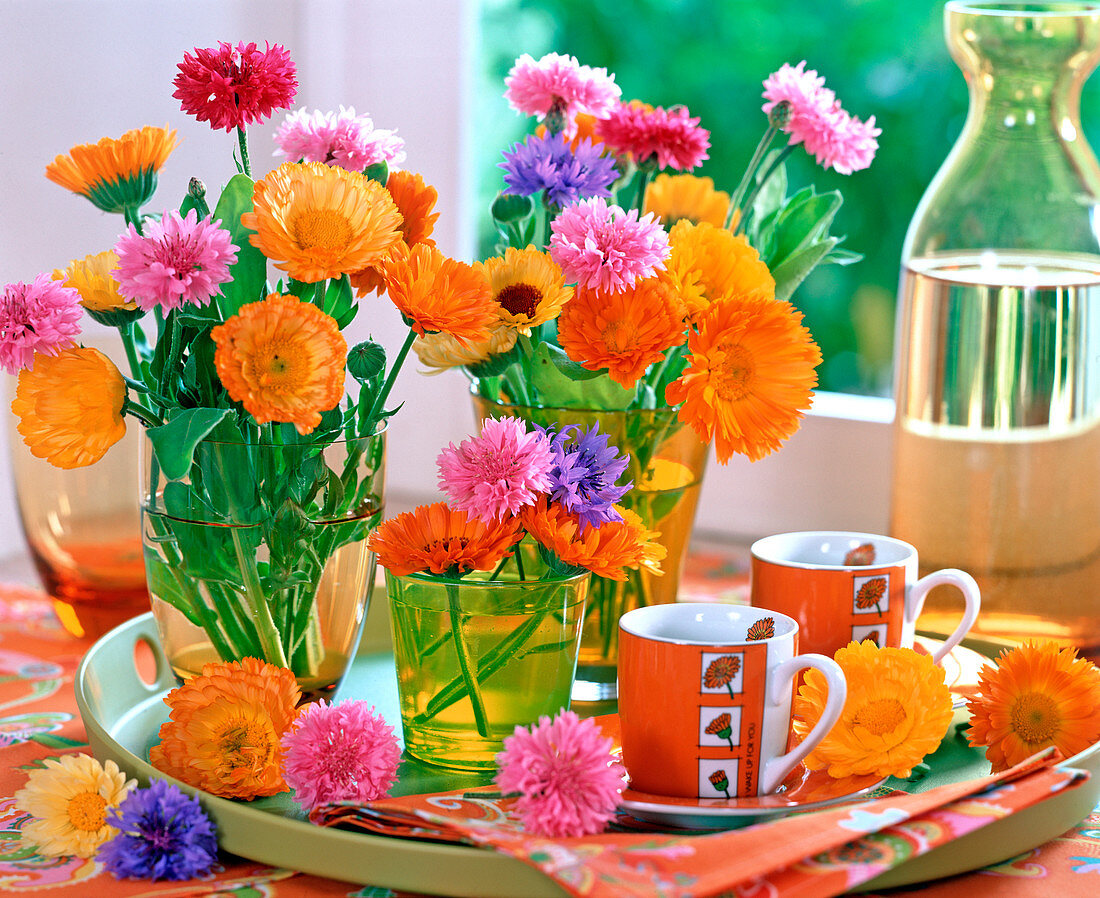 Calendula (marigold), Centaurea (cornflower)