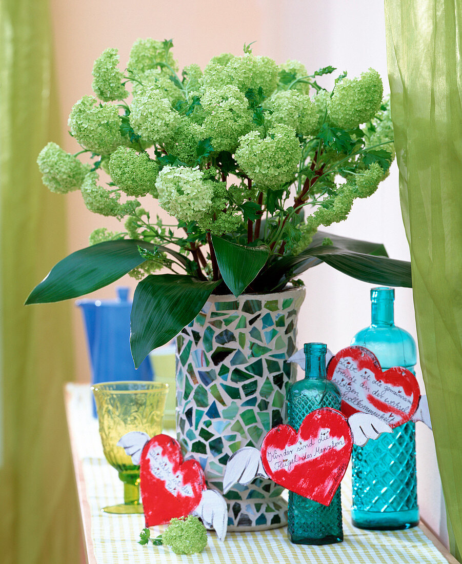 Viburnum opulus 'Roseum' (double snowball), Aspidistra