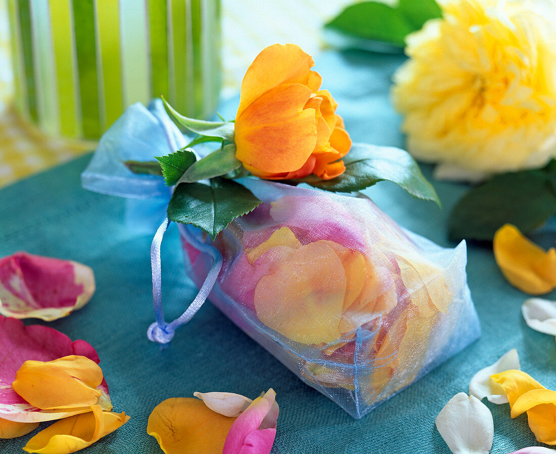 Pink (rose), petals in organza bag