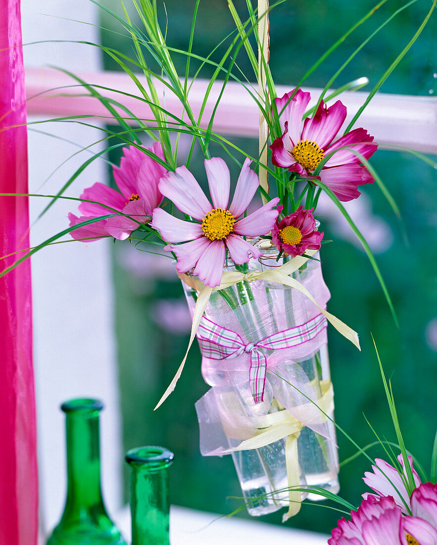 Hanging test tubes