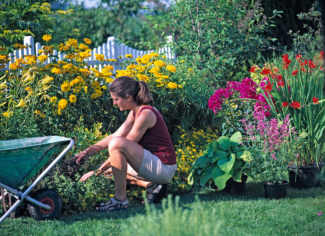 Spice up a yellow flowerbed with colorful perennials