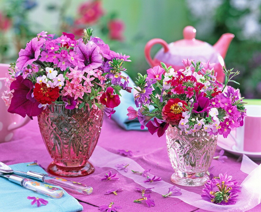 Petunia (Petunie), Pentas (Pente), Zinnia (Zinnie)