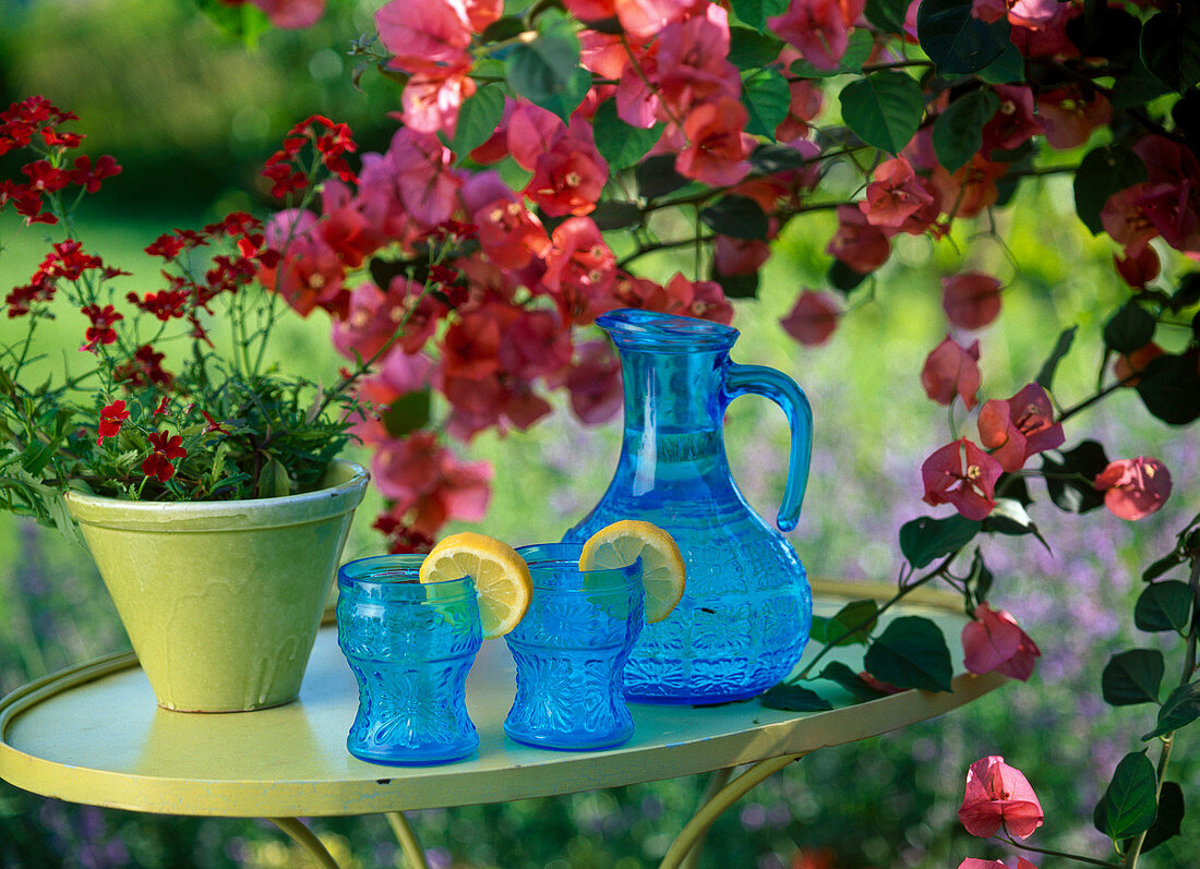 Blue jug and 2 cups, Citrus (lemon slices)