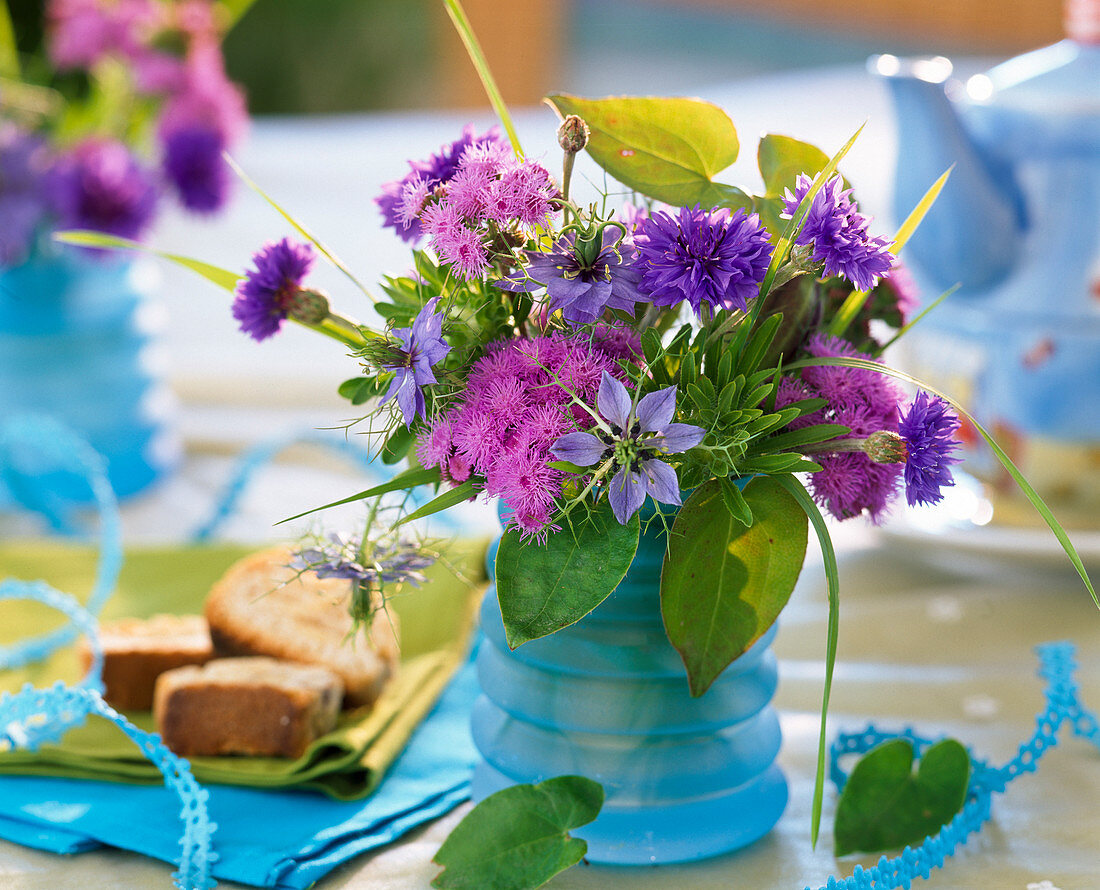 Ageratum (Leberbalsam), Centaurea (Kornblume)