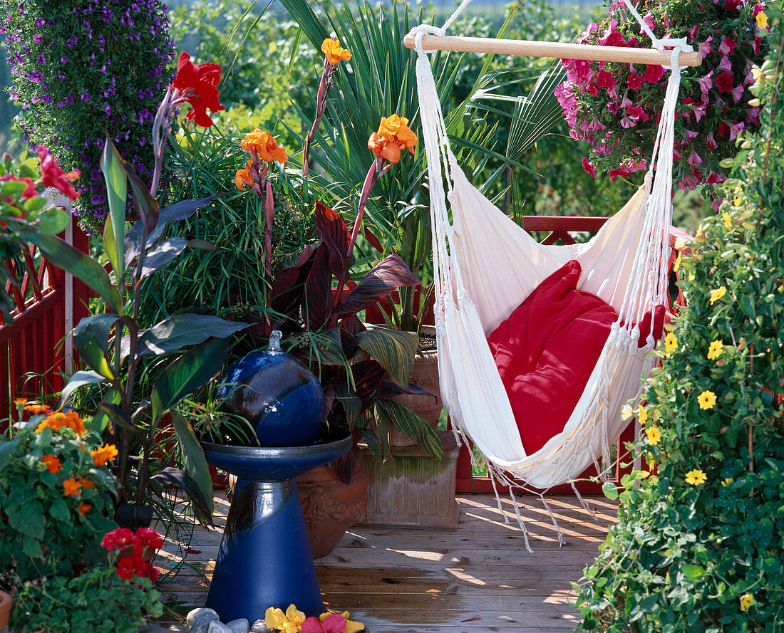 Balkon mit Cyperus, Canna indica, Sitzhängematte