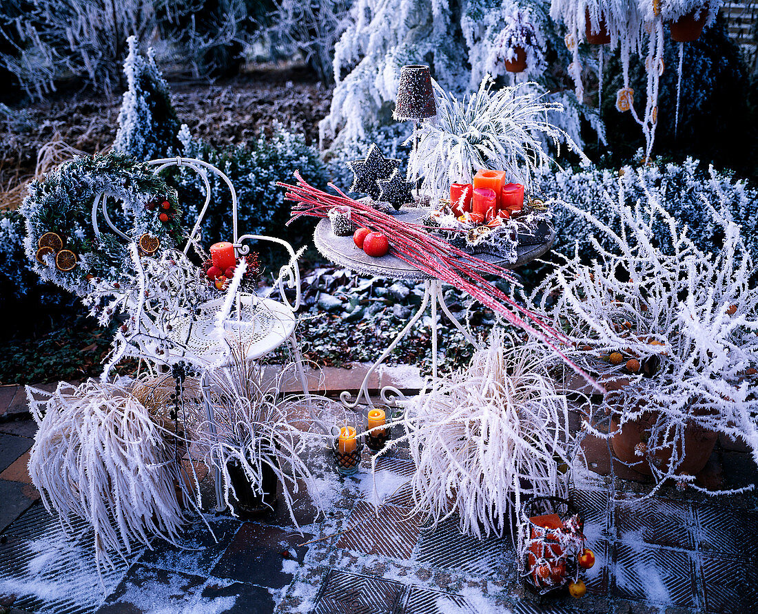 Christmas terrace with grasses in hoarfrost