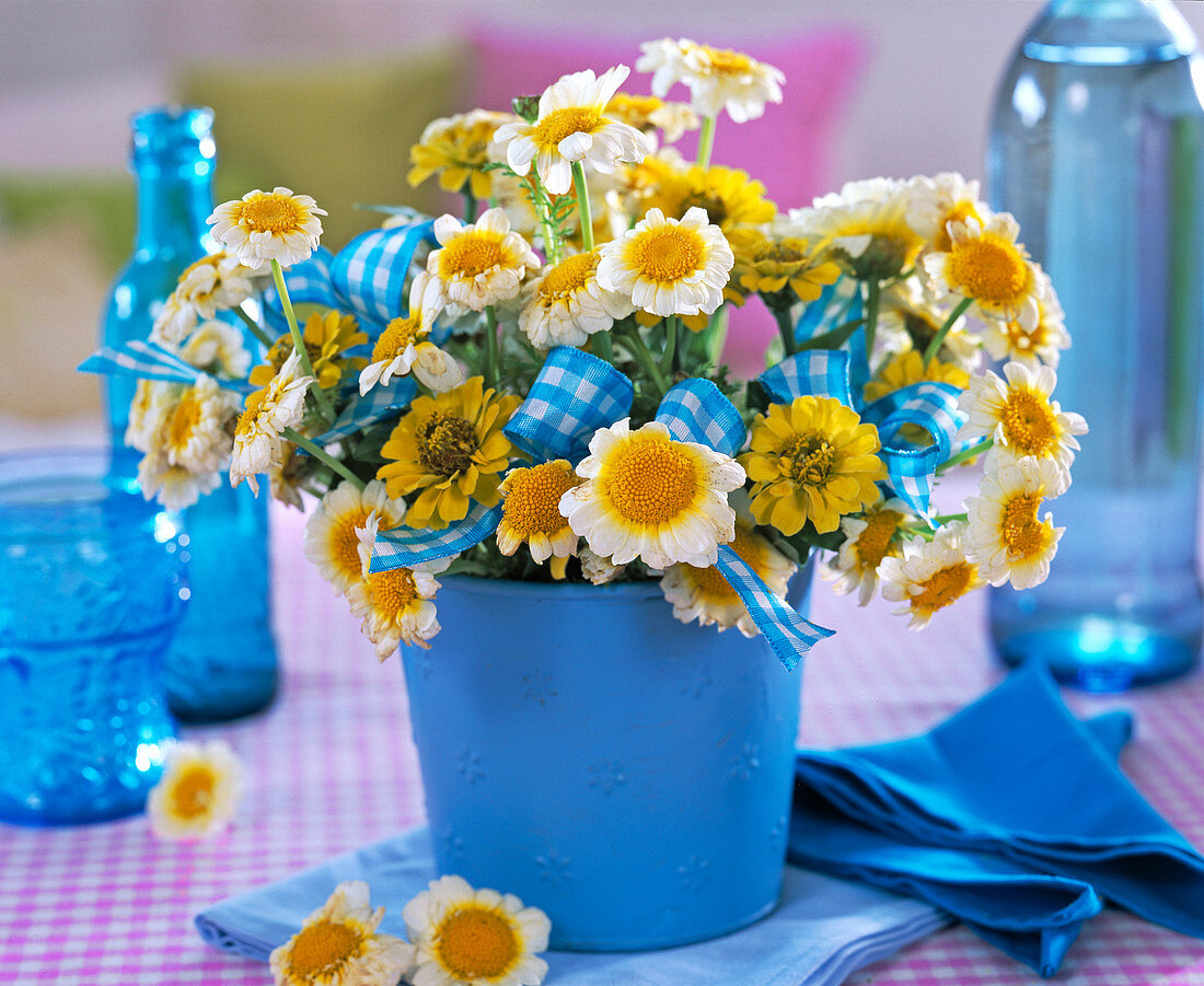 Tanacetum (tansy), Zinnia (yellow zinnia)