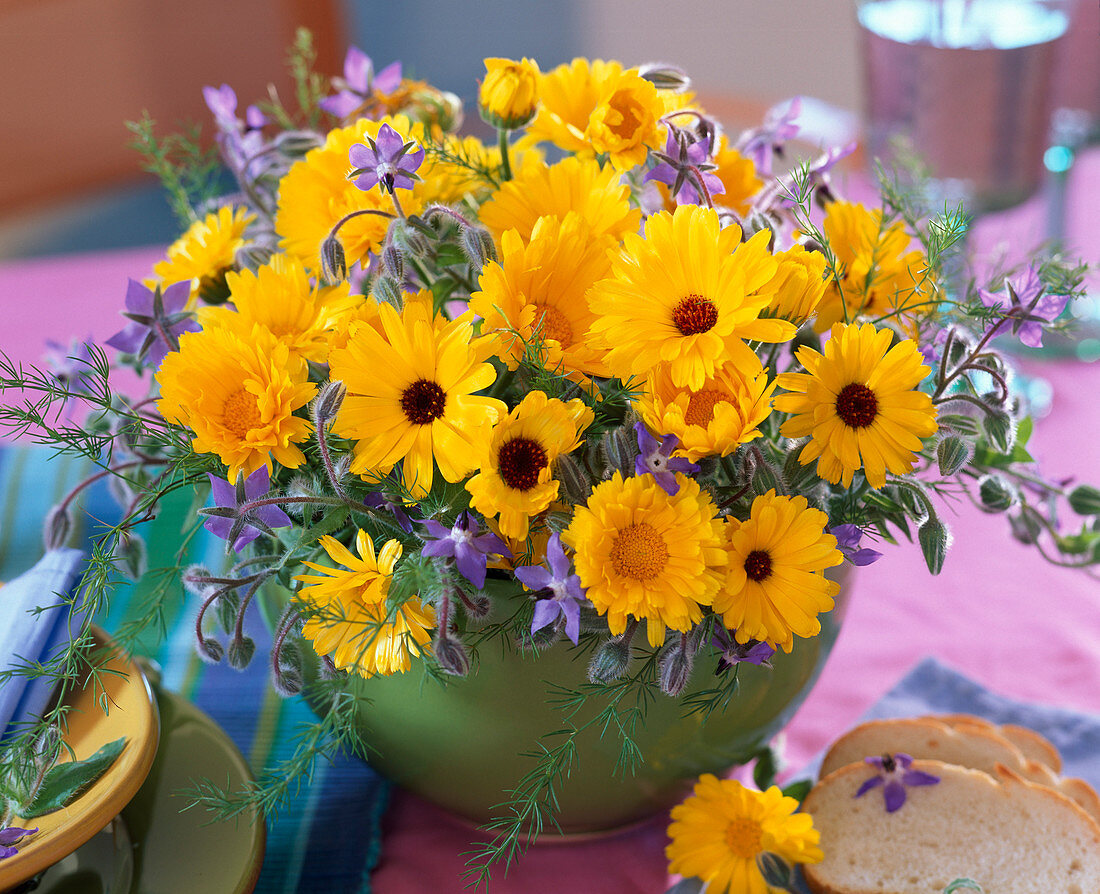 Calendula (marigold)