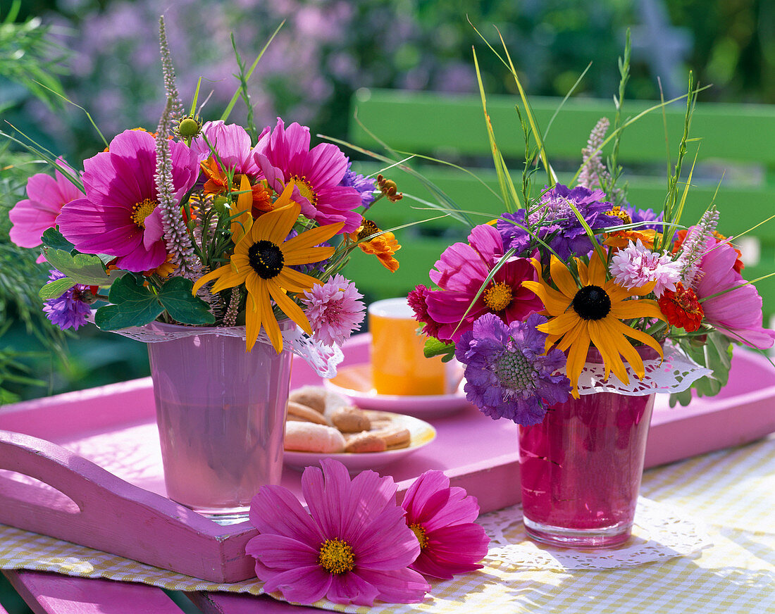 Cosmos (Schmuckkörbchen), Rudbeckia (Sonnenhut)