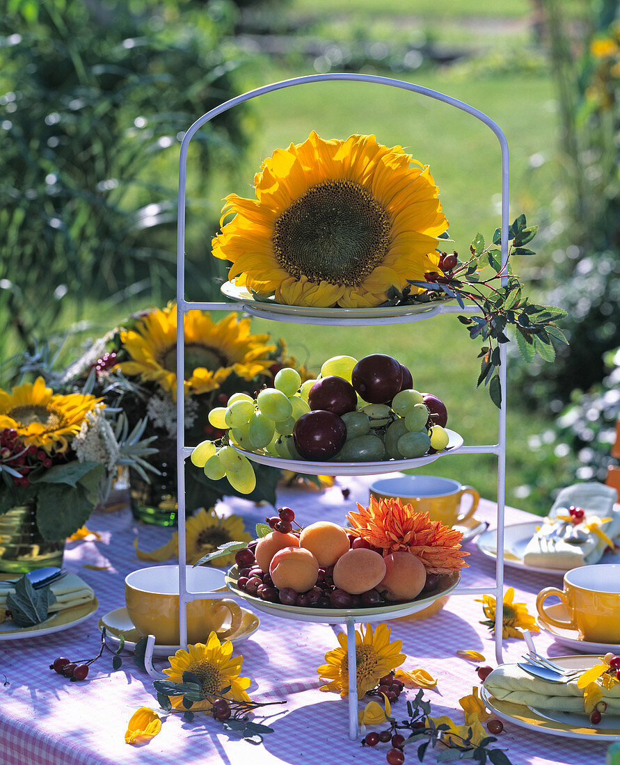 Metal tray with Helianthus annuus (sunflower)