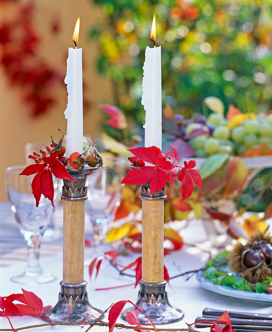 Candlestick decorated with Parthenocissus (wild wine)