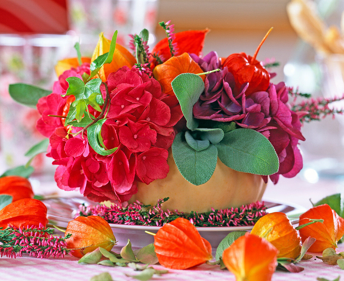 Hydrangea (hydrangea), Salvia (sage)