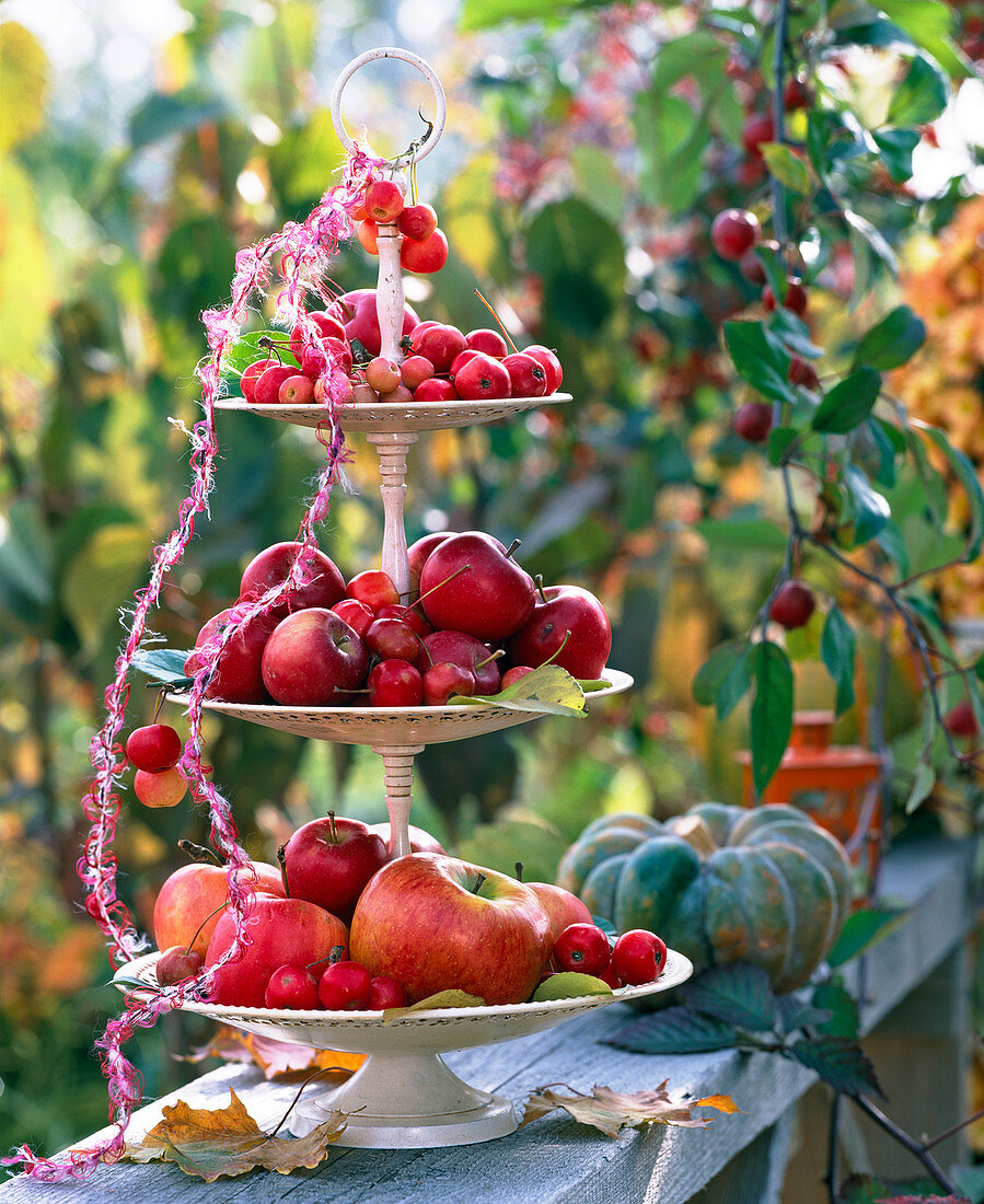 Metal warehouse with malus (apple, ornamental apple)