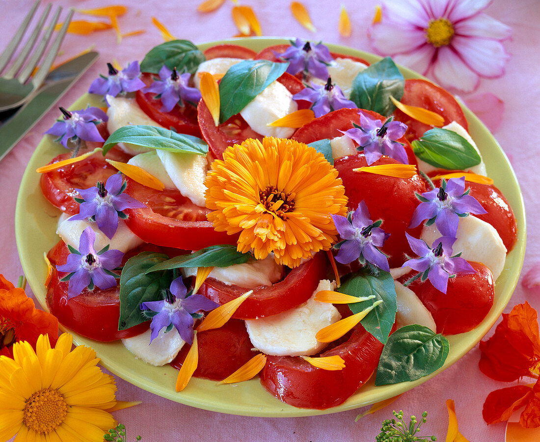 Lycopersicon (tomato) with mozarella cheese