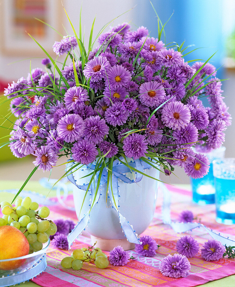 Aster ' Marie Ballard ' (Glattblattaster)