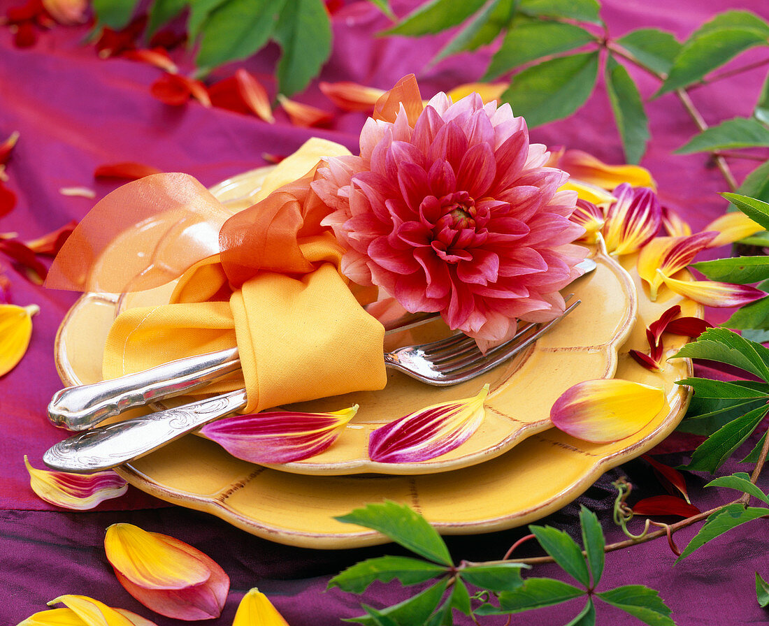 Festive dahlia table decoration on the terrace