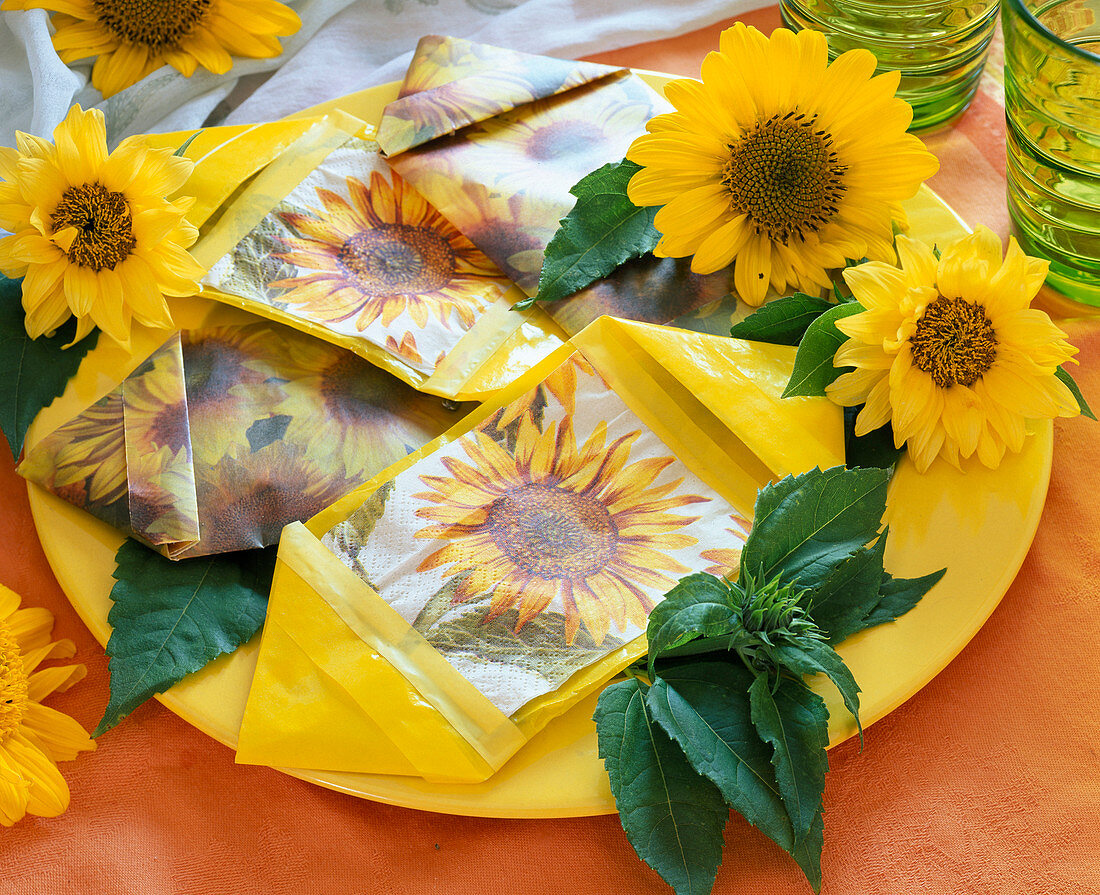 Sunflower seeds in homemade bags (5/5)