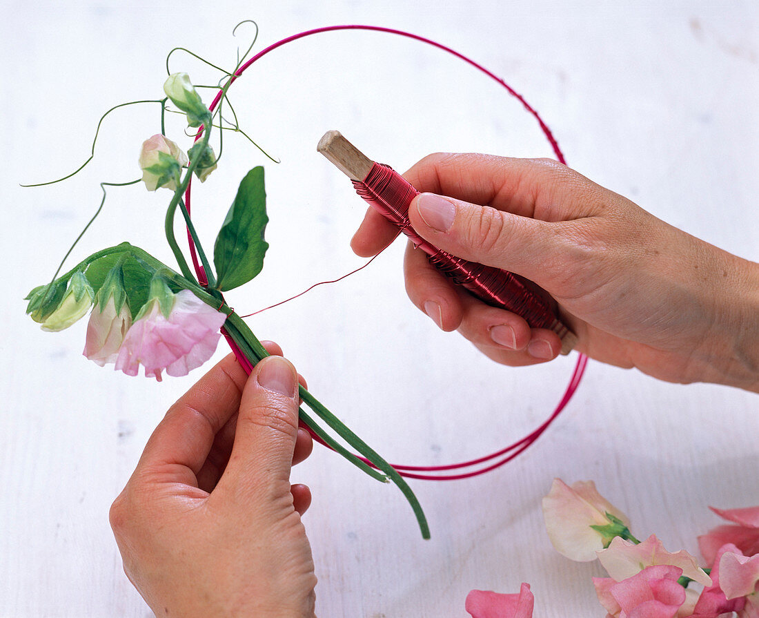 Pink Vetch Wreath (1/2)