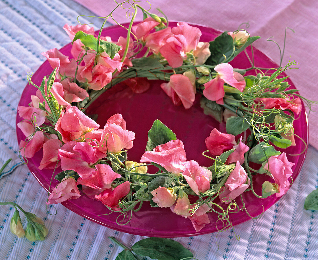 Pink vetch wreath (2/2)