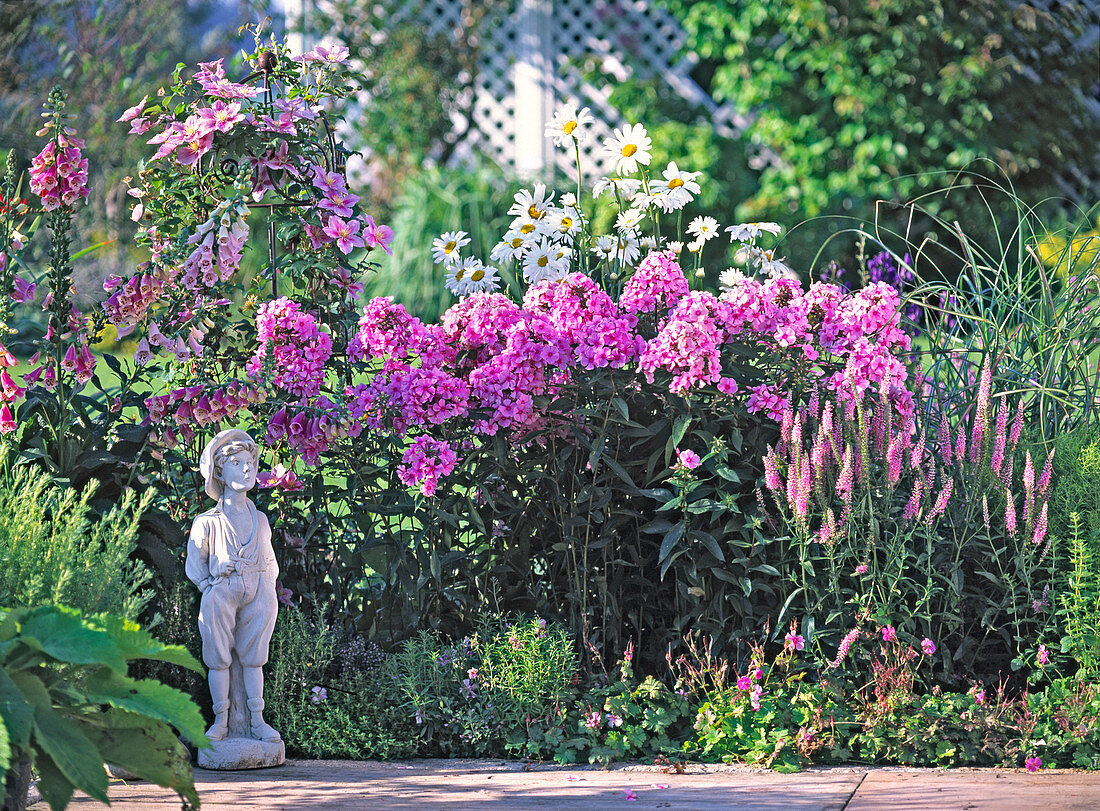 Phlox 'Country Wedding' (Flame Flower)