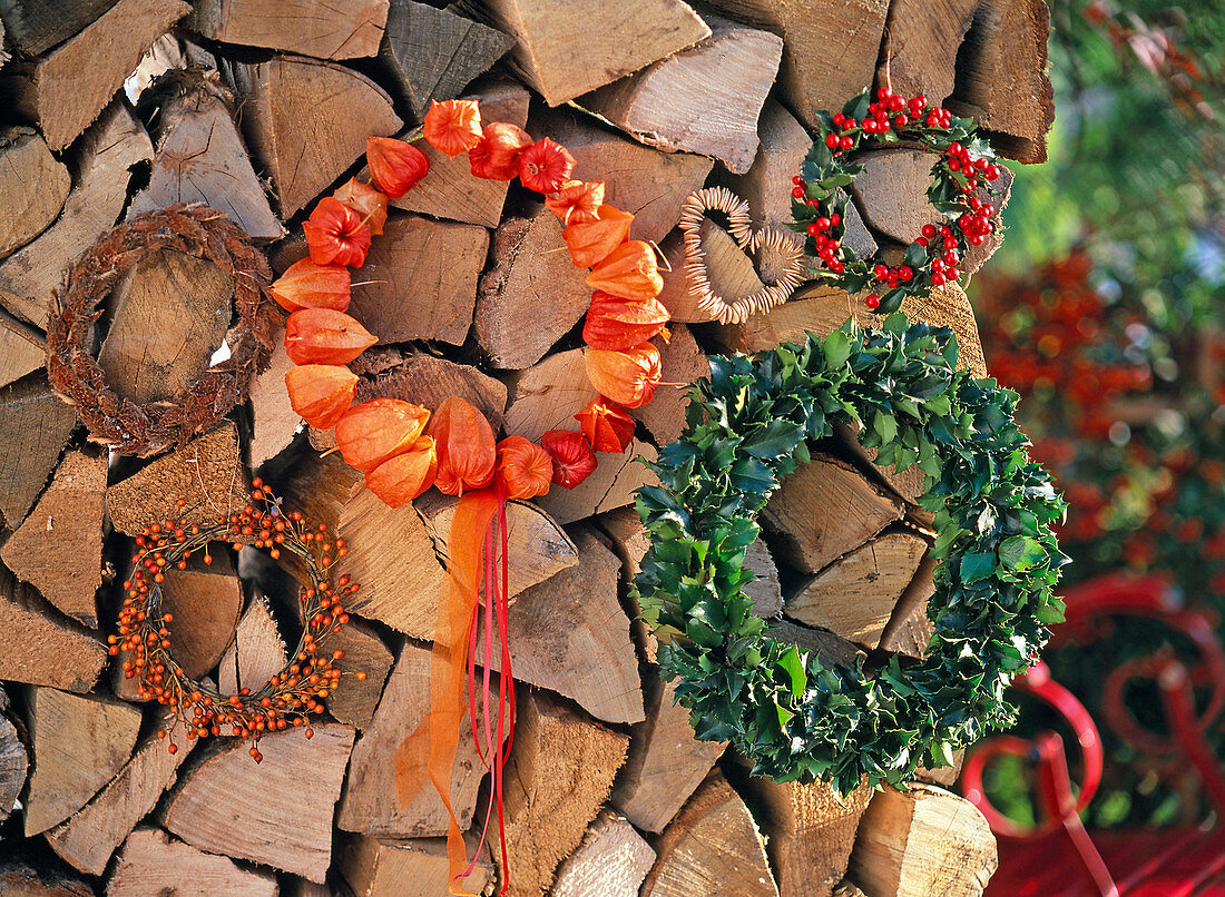 Wreaths of Physalis (lampion), Ilex (holly, red winterberry)