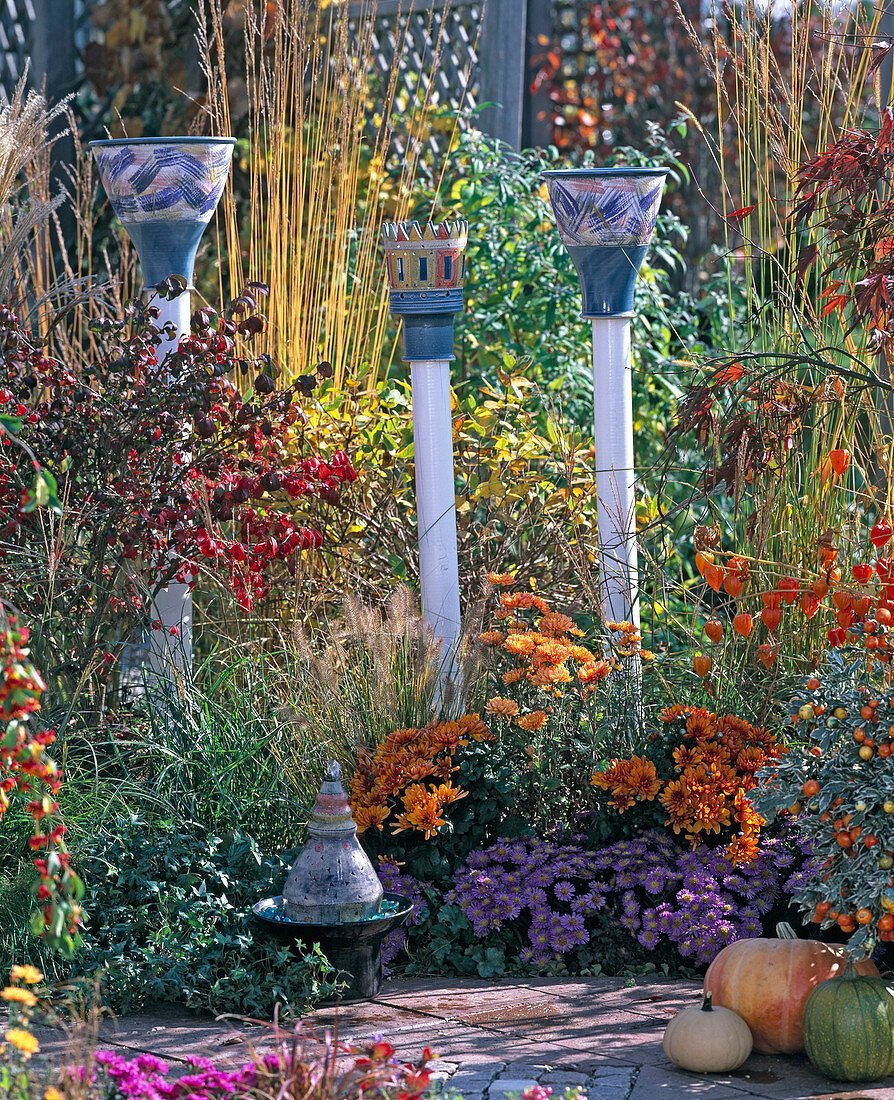 Aster (cushion aster), Chrysanthemum (chrysanthemum), Physalis (lanterns)