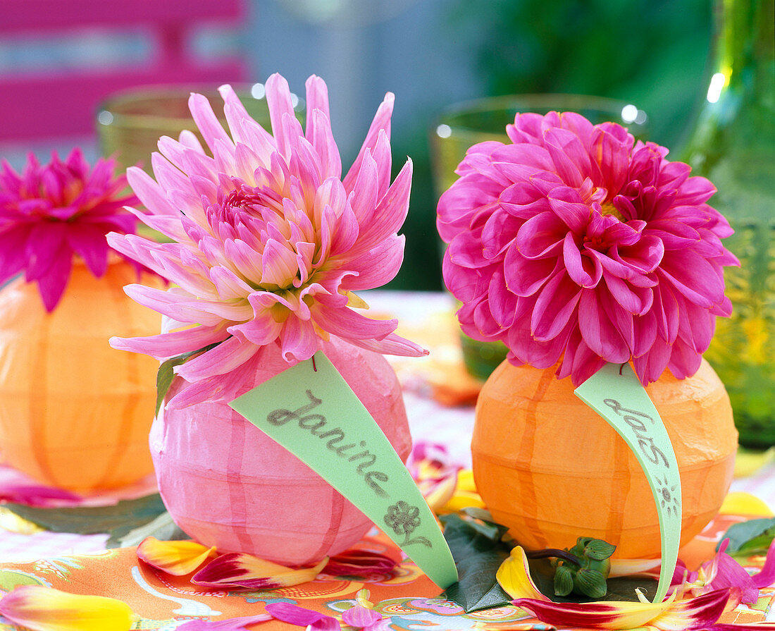 Mini lanterns as a vase