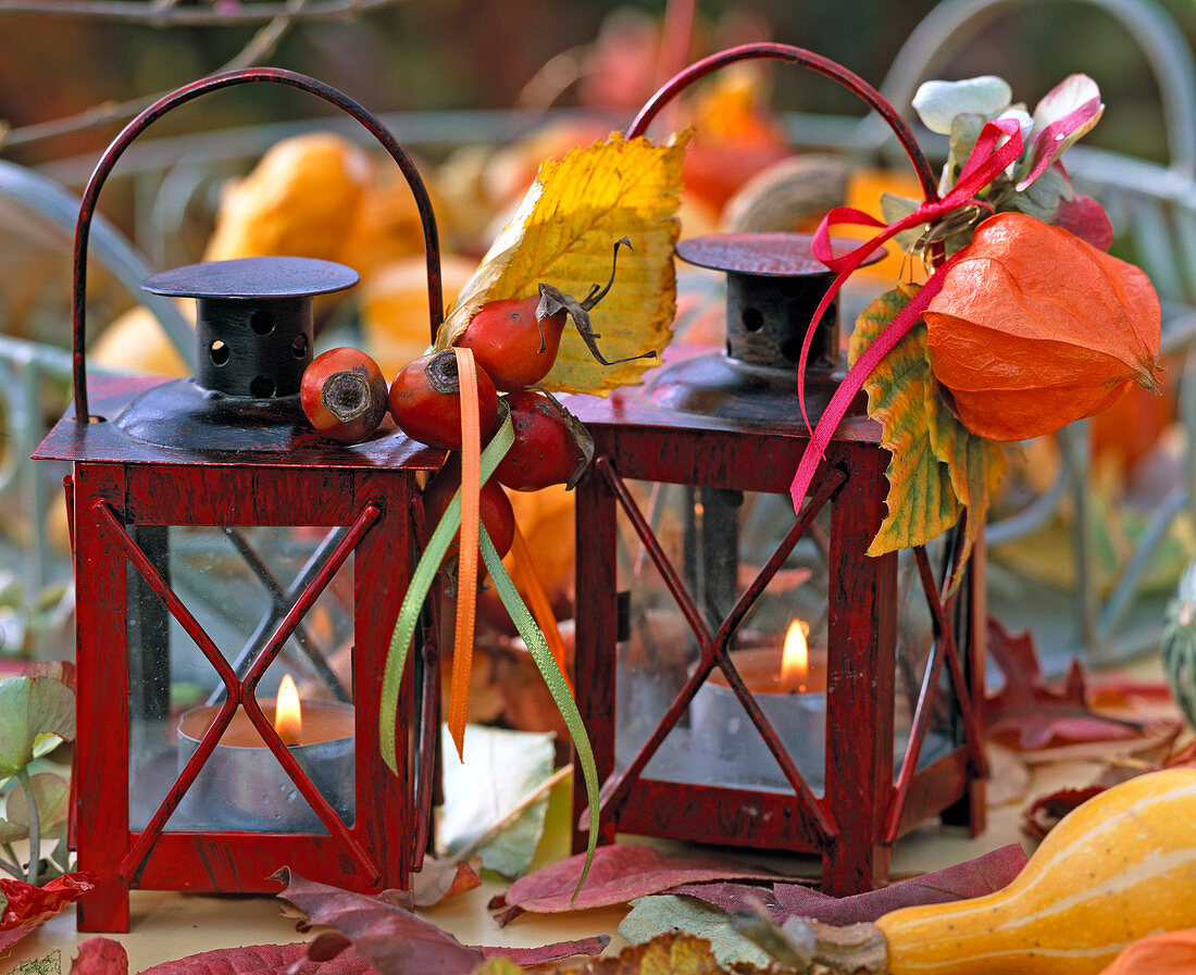 Red lanterns decorated with physalis (lantern)