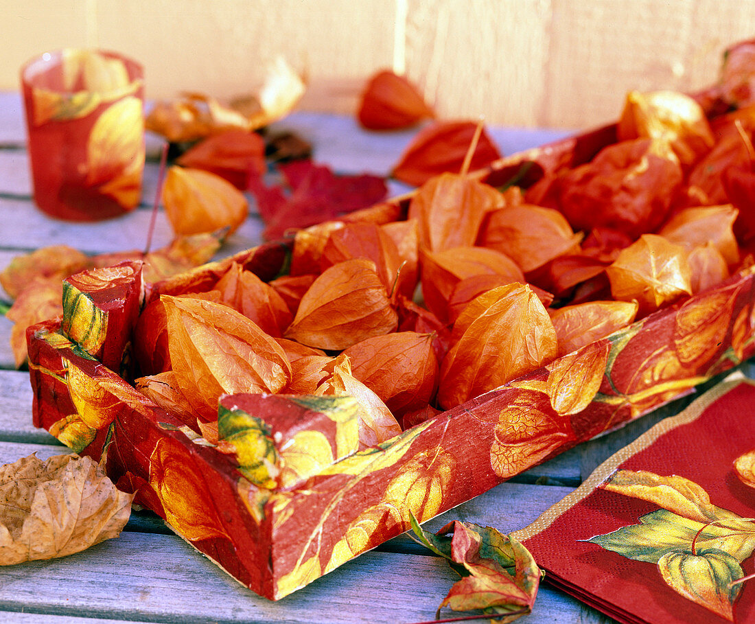 Physalis (lampions) in wooden box