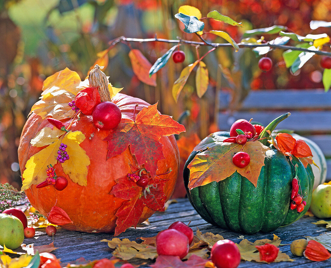 Cucurbita (pumpkin, ornamental squash) decorated with autumn leaves