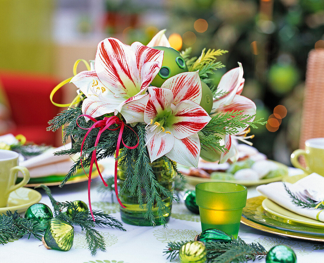 Amaryllis mit grünen Kugeln: 3/3