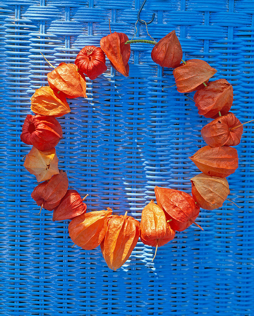 Physalis (Lampions) aufgefädelt als Kranz