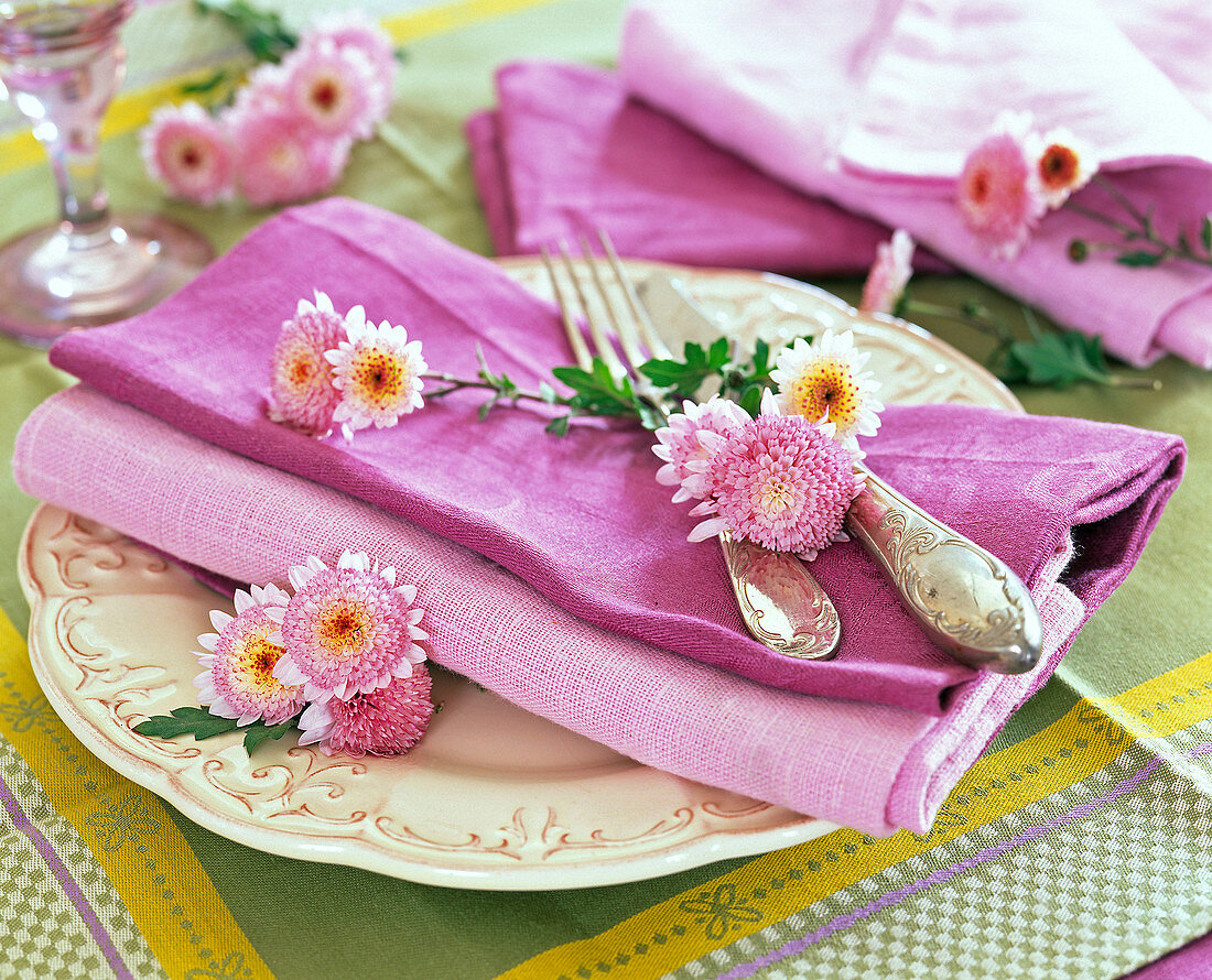 Chrysanthemum (Chrysanthemenblüten) auf rosa Serviette