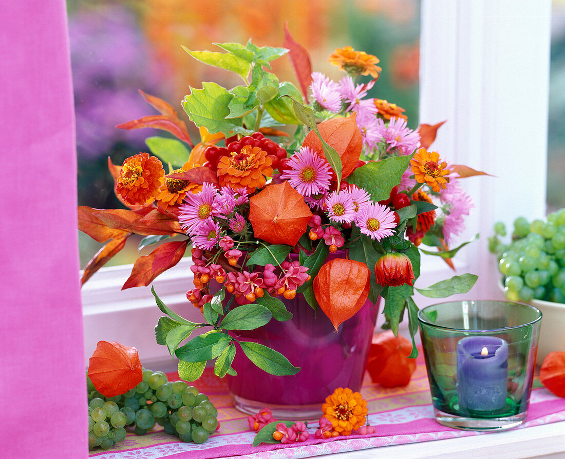 Physalis (Lampions), Aster (Herbstaster), Zinnia (Zinnie), Euonymus