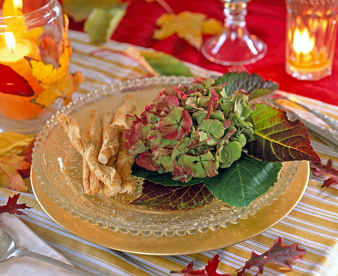 Hydrangea (hydrangea), puff pastry sticks on glass plate