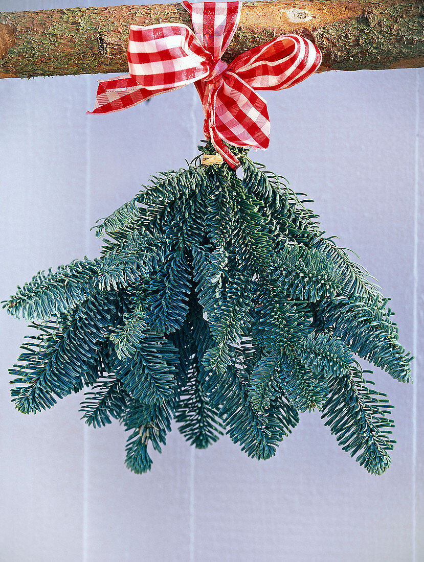 Handstrauß aus Abies procera (Nobilistanne) mit rot-weiß karierter Schleife