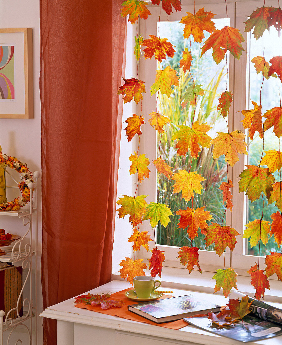 Window decoration maple foliage