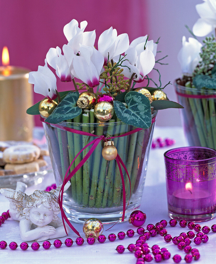 White Cyclamen persicum as a Christmas arrangement in glass vase