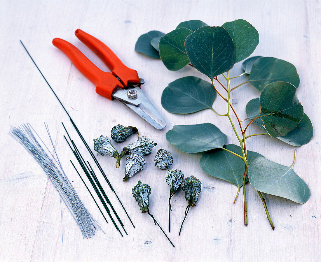 Eucalyptus napkin decoration (1/5)