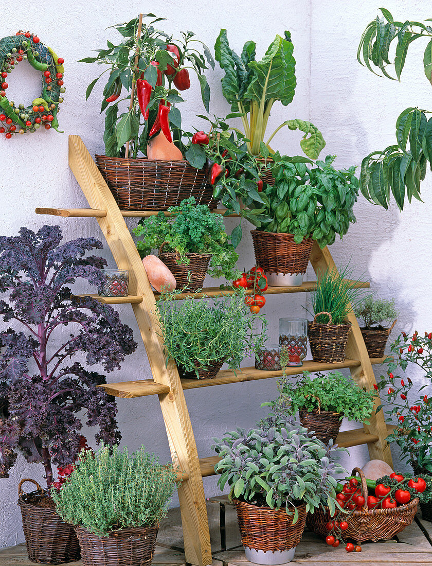 Leaning shelf with herbs and vegetables in the pot