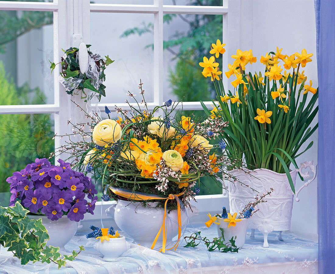 Narcissus 'Tete a Tete', Primula acaulis