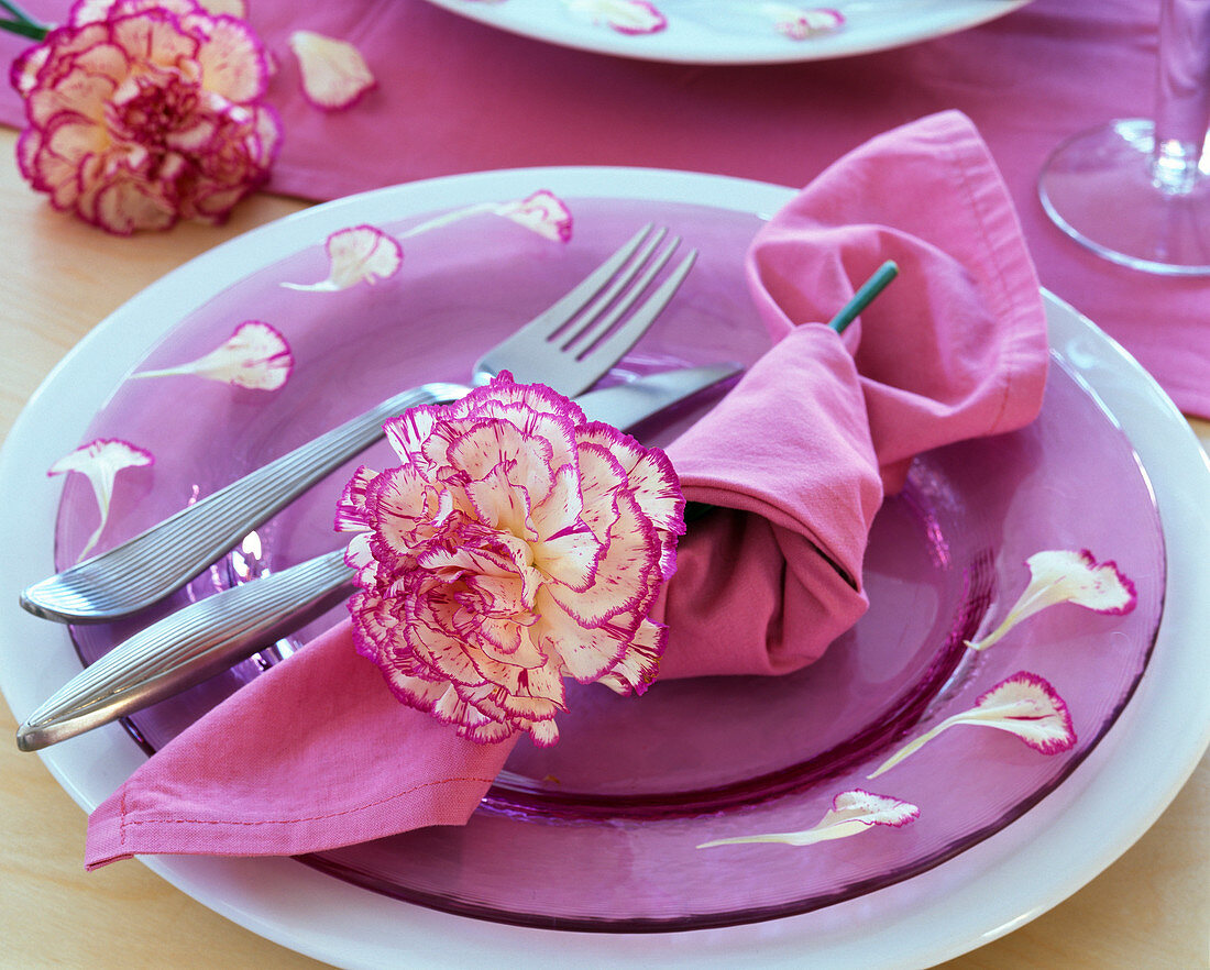 Flower of Dianthus in loosely knotted napkin