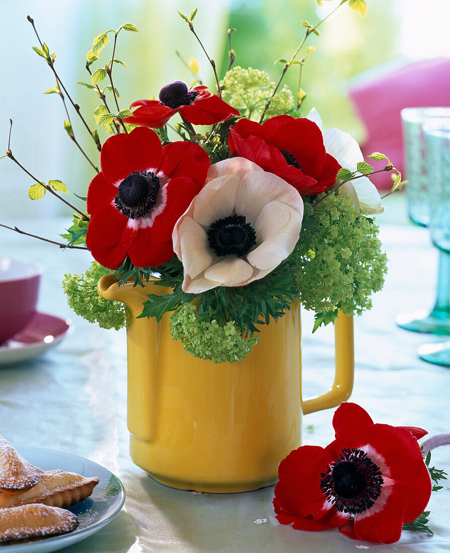 Bouquet of Anemone coronaria (crown anemone), Viburnum (snowball)