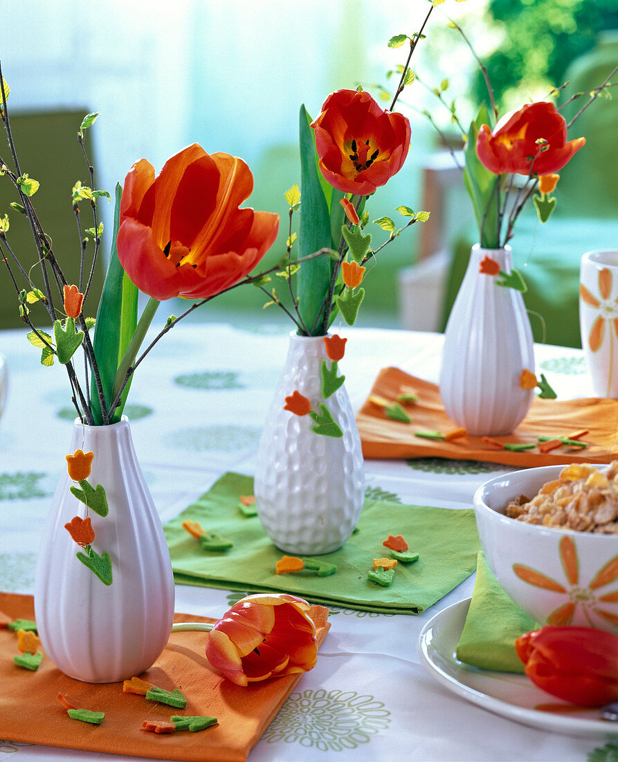 Tulipa, betula in small white vases