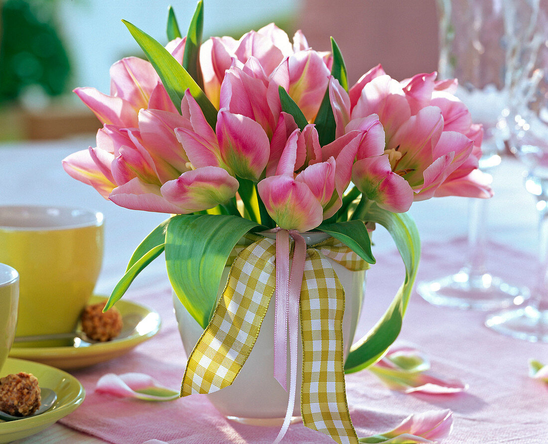 Tulipa 'Louvre' bouquet in white vase, ribbon